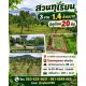 ขายสวนทุเรียนทำเลดี ราคาเบา ๆ ต.ดงขี้เหล็ก อ.เมืองปราจีนบุรี โฉนดครุฑแดง พร้อมโอ
