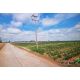 ที่ดินเปล่า 39-3-46 ไร่ ติดศูนย์พัฒนาเด็กเล็กบ้านสีออ, อบต.สีออ อ.กุมภวาปี จ.อุด