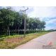 ที่ดินเปล่า 39-3-46 ไร่ ติดศูนย์พัฒนาเด็กเล็กบ้านสีออ, อบต.สีออ อ.กุมภวาปี จ.อุด
