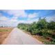 ที่ดินเปล่า 39-3-46 ไร่ ติดศูนย์พัฒนาเด็กเล็กบ้านสีออ, อบต.สีออ อ.กุมภวาปี จ.อุด