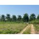 ขายที่ดิน โซน EEC ศรีราชา-บึง ใกล้นิคมปิ่นทอง 4 เหมาะสร้างคลังสินค้า TP-L2617