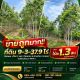 ขายถูกมาก!! ที่ดิน 9-3-37.9 ไร่ ติดถนน น้ำไฟ 2 เฟส ทำเลทอง อ.บ้านค่าย จ.ระยอง