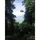 DSL-721.1 ขาย ที่ดิน ขายที่ดินสวนป่า บนเนินไหล่เขา วิวทะเล (Seaview) เกาะสิเหร่ 