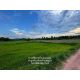 ขาย ที่ดิน 53 ไร่ อำเภอจุน ต.ห้วยข้าวก่ำ จ. พะเยา (ที่ดินติดถนน พย 4023  ถึง ด้า